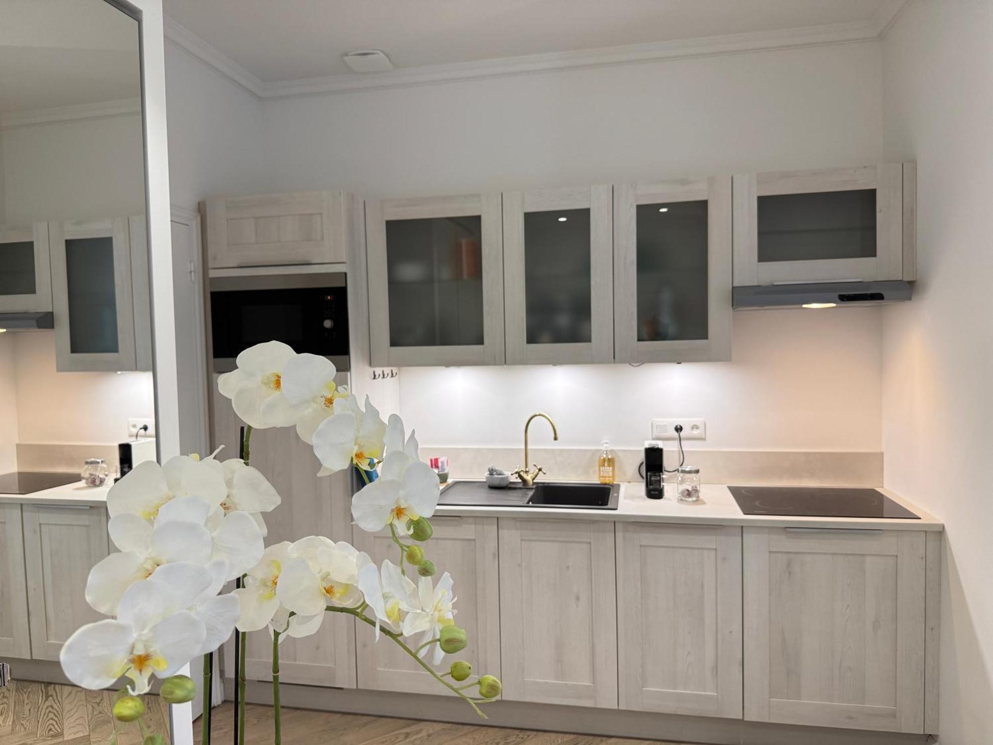 Apartment Old Town-exceptional Apartment-in Absolute Calm Antibes