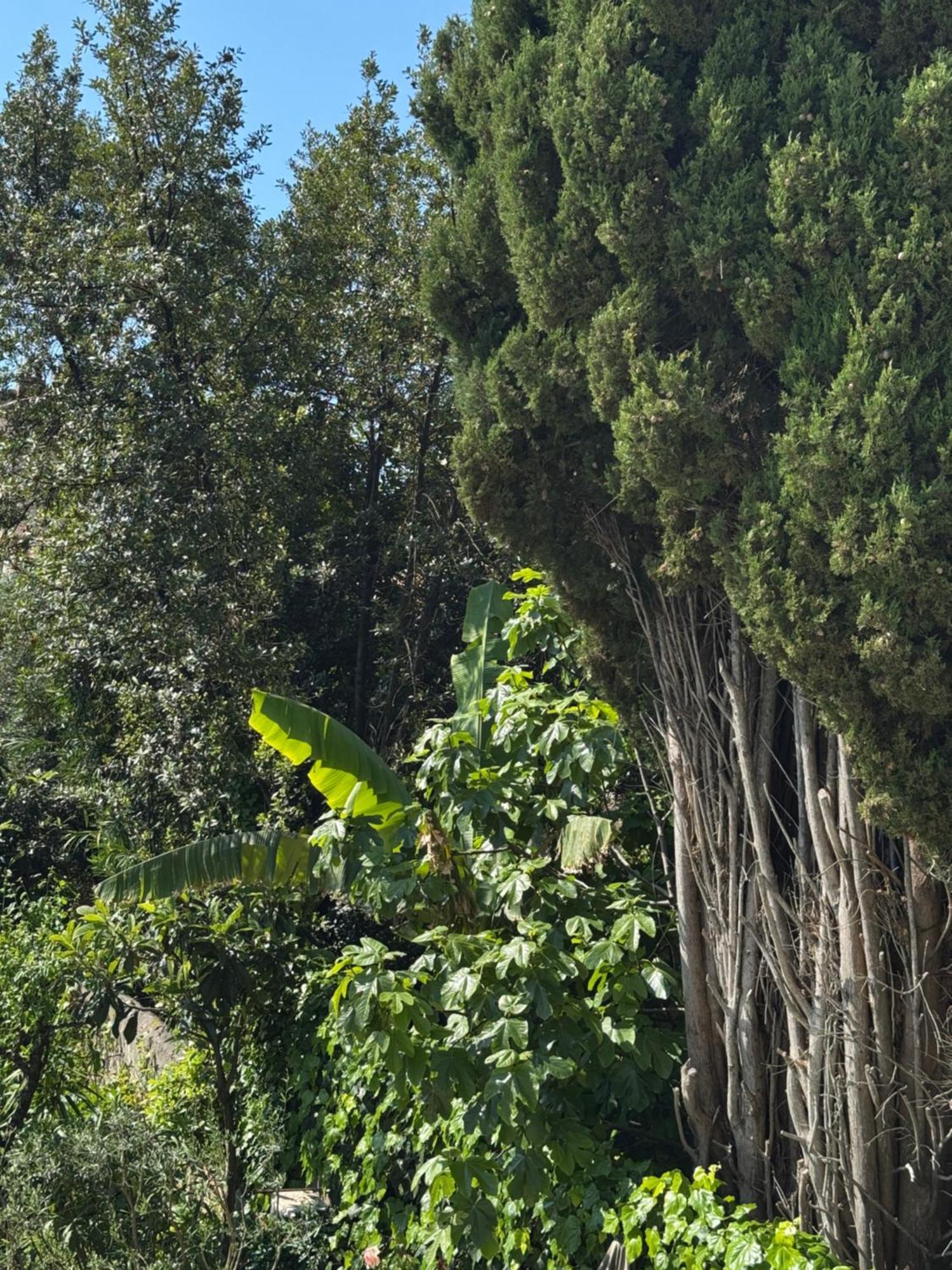 Old Town-exceptional Apartment-in Absolute Calm * Antibes